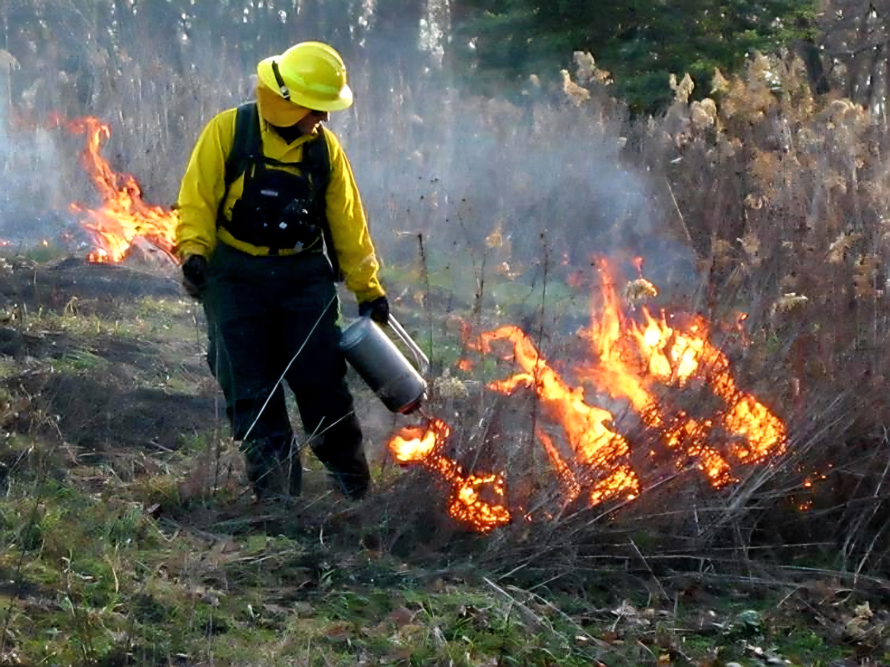 Prescribed fire